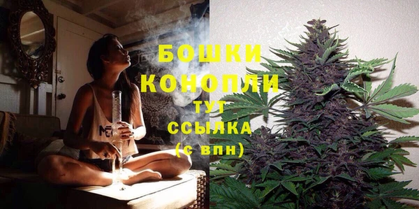 гидропоника Аркадак