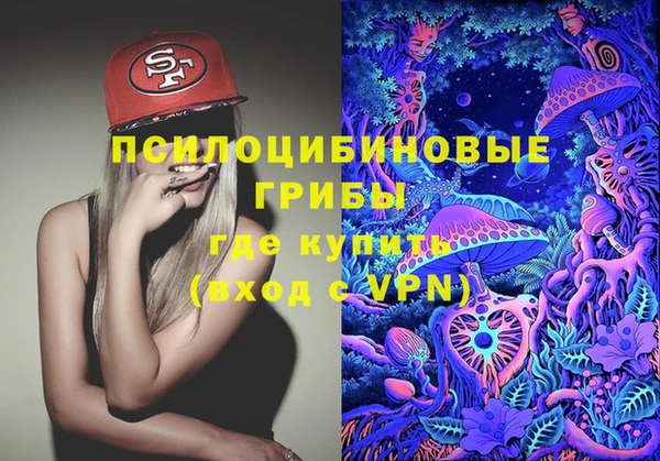 гидропоника Аркадак