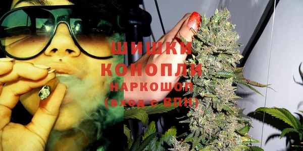 гидропоника Аркадак