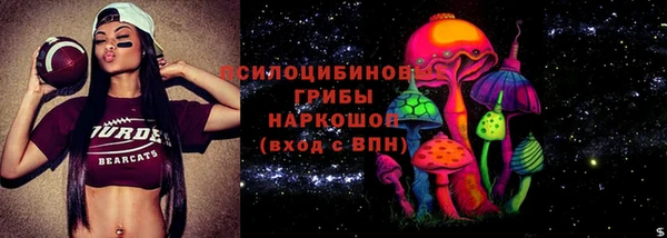 гидропоника Аркадак