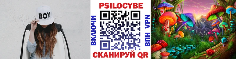 где можно купить наркотик  Спас-Клепики  Псилоцибиновые грибы Magic Shrooms 